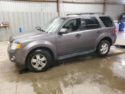 Ford Vehiculos salvage en venta: 2011 Ford Escape XLT