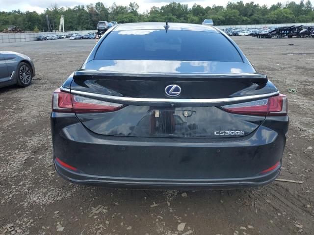 2019 Lexus ES 300H