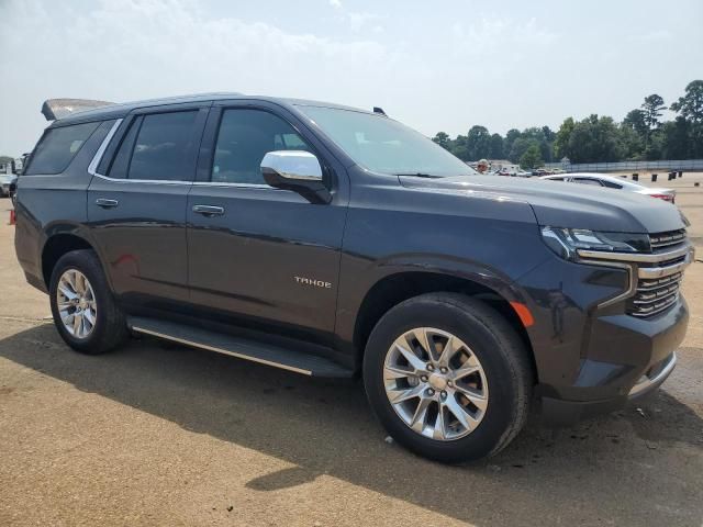 2023 Chevrolet Tahoe C1500 Premier