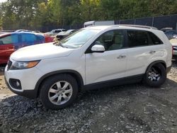 Carros salvage a la venta en subasta: 2012 KIA Sorento Base