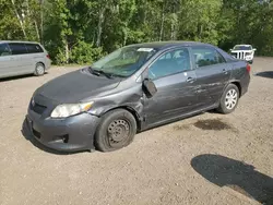 Carros con título limpio a la venta en subasta: 2009 Toyota Corolla Base