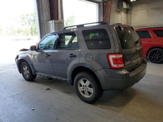 2011 Ford Escape XLT