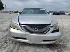 2007 Lexus LS 460