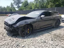 Muscle Cars for sale at auction: 2019 Ford Mustang