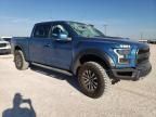 2019 Ford F150 Raptor