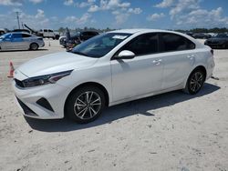 Salvage cars for sale at Arcadia, FL auction: 2023 KIA Forte LX