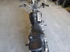 2003 Harley-Davidson FXD