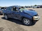 2002 Chevrolet Trailblazer