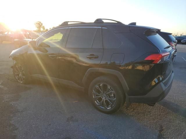 2023 Toyota Rav4 XLE Premium