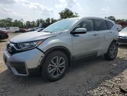 Salvage cars for sale at Baltimore, MD auction: 2022 Honda CR-V EX