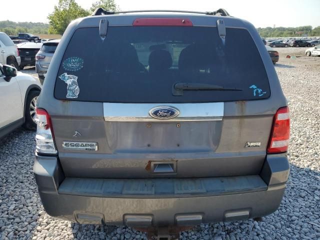 2010 Ford Escape Limited