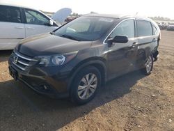 Salvage cars for sale at Elgin, IL auction: 2014 Honda CR-V EXL