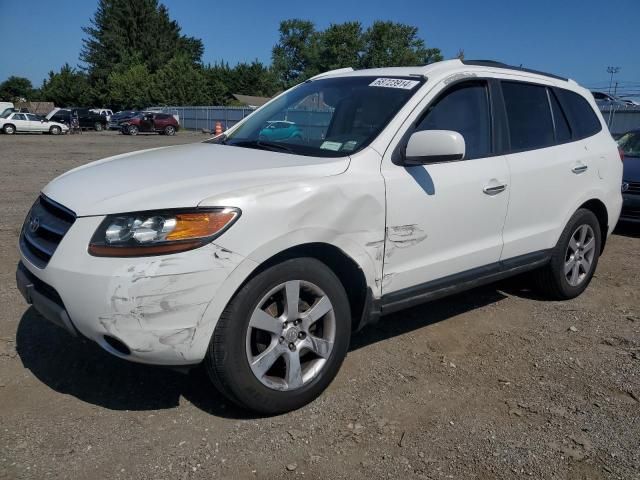 2009 Hyundai Santa FE SE