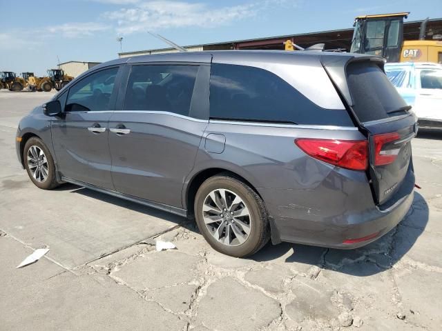 2024 Honda Odyssey EXL