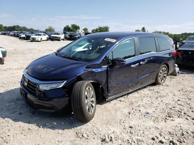 2024 Honda Odyssey EXL