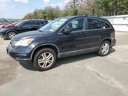 Salvage cars for sale from Copart Brookhaven, NY: 2010 Honda CR-V EXL