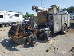 Salvage trucks for sale at Lexington, KY auction: 2007 Peterbilt 335