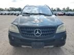 2006 Mercedes-Benz ML 350