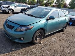 Toyota Corolla salvage cars for sale: 2010 Toyota Corolla Base