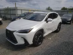 Lots with Bids for sale at auction: 2024 Lexus NX 450H Luxury