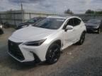 2024 Lexus NX 450H Luxury