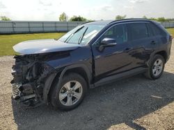 Salvage cars for sale at Houston, TX auction: 2020 Toyota Rav4 XLE