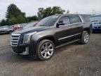 2017 Cadillac Escalade Platinum