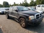 2005 Dodge Dakota Quad Laramie