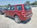 2008 Ford Escape XLS