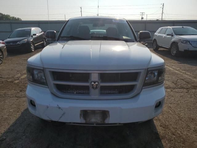 2011 Dodge Dakota SLT