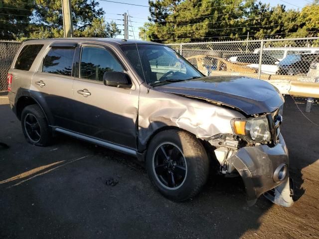 2012 Ford Escape XLT