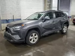 Salvage cars for sale at Ham Lake, MN auction: 2019 Toyota Rav4 LE