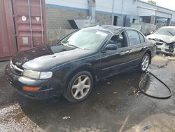 Salvage cars for sale at New Britain, CT auction: 1997 Nissan Maxima GLE