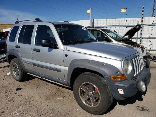 2005 Jeep Liberty Renegade