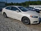 2013 Ford Fusion SE Hybrid