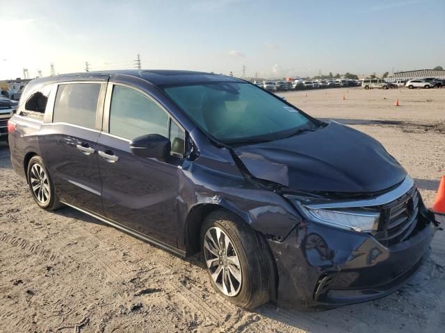 2024 Honda Odyssey EXL