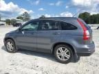 2010 Honda CR-V EXL