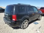 2009 Honda Pilot EXL