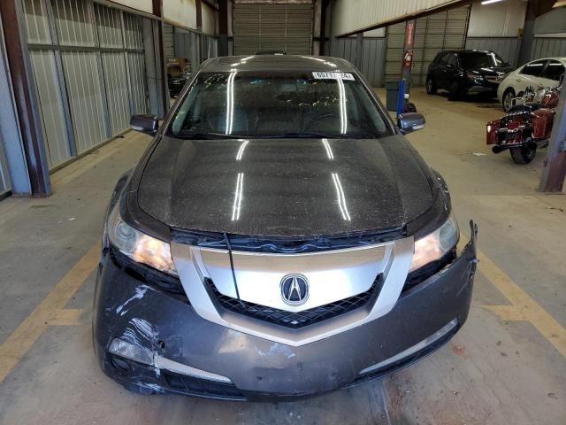 2010 Acura TL