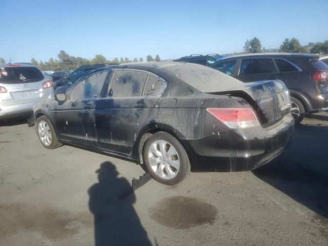 2009 Honda Accord EXL