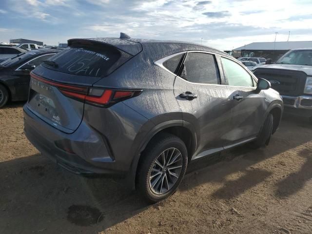 2024 Lexus NX 350H Base