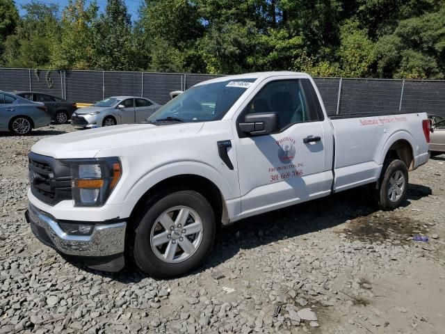 2023 Ford F150