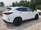 2024 Lexus NX 450H Luxury