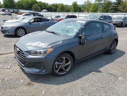 Salvage cars for sale at Grantville, PA auction: 2019 Hyundai Veloster Base