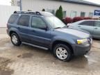 2006 Ford Escape XLT