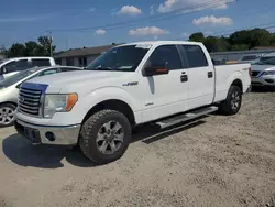 Vehiculos salvage en venta de Copart Conway, AR: 2011 Ford F150 Supercrew