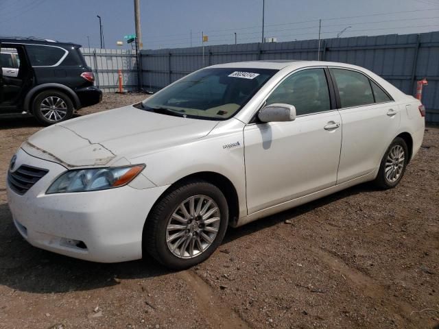 2007 Toyota Camry Hybrid