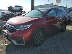 Salvage SUVs for sale at auction: 2021 Honda CR-V EX