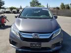 2019 Honda Odyssey EXL