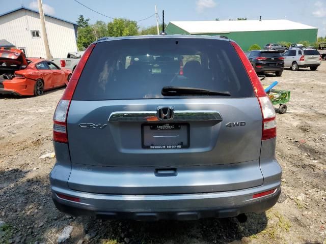 2010 Honda CR-V EXL